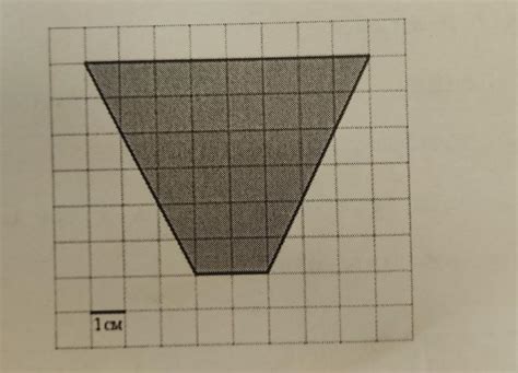 Площадь трапеции на клетчатой бумаге