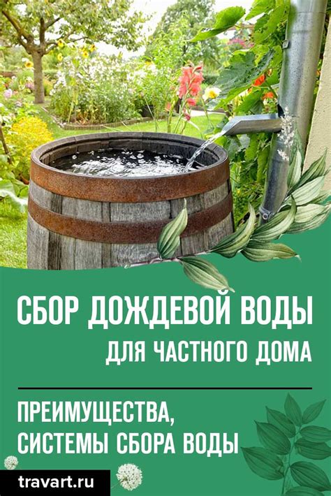 Плюсы и минусы питья дождевой воды