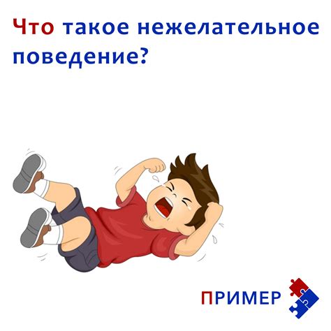 Поведение тортуги