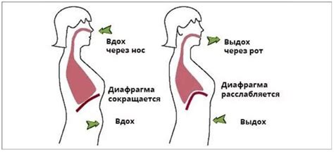 Повышение давления в организме