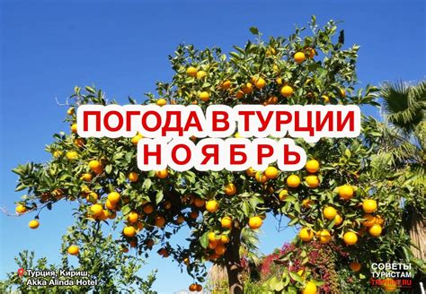 Погода в Турции в ноябре: