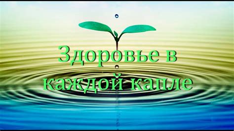 Подбор оптимального режима: радость в каждой капле