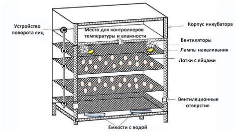 Подготовка инкубатора перед перезагрузкой