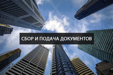 Подготовка и подача документов в соответствующие органы