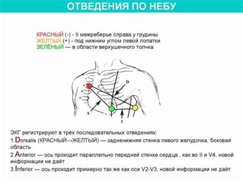 Подготовка к ЭКГ по небу: советы и инструкция