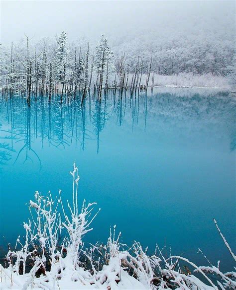 Подготовка к рисованию кучи листьев