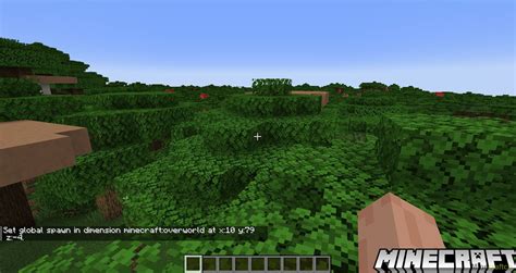 Подготовка к созданию опытной фермы в Аду в Minecraft 1.16.5