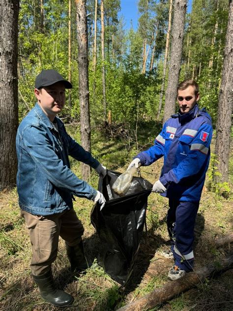 Поддержание чистоты и безопасности камина