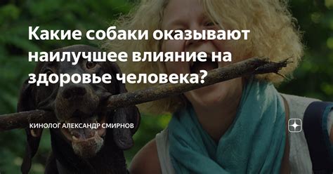 Поддержка и помощь, которую собаки оказывают людям