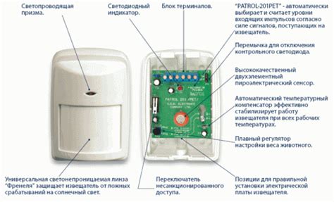 Подключение и настройка датчика Polar H19: пошаговая инструкция