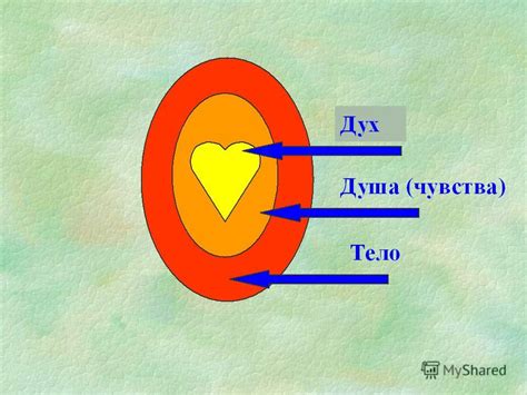 Подкрепите ее физические и эмоциональные потребности