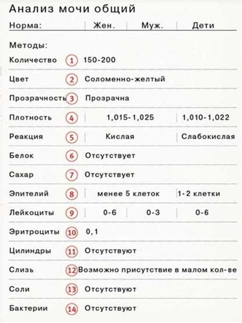 Подмывание после мочеиспускания: требование или просто рекомендация?