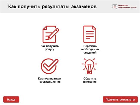 Подробная инструкция по получению результатов проверки