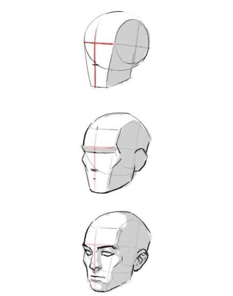 Подробная инструкция по построению головы человека