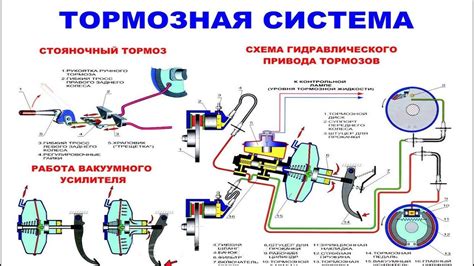 Позиция в системе тормозов