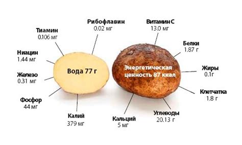 Полезные свойства картофеля и его место в рационе