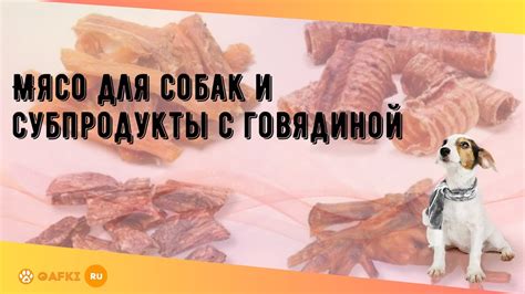 Полезные свойства мяса с душком для собак