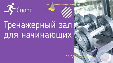 Полезные советы и рекомендации для начинающих пользователей Пионер ОК