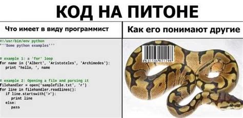 Полезные советы по работе с числами без ведущих нулей