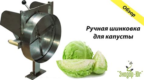 Полезные советы при шинковке капусты в мясорубке