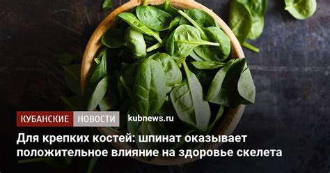 Положительное влияние на здоровье шерсти и кожи