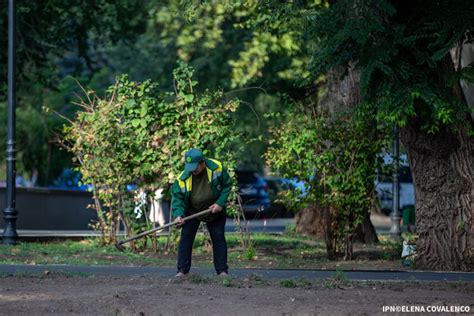 Положительные аспекты уборки в субботу