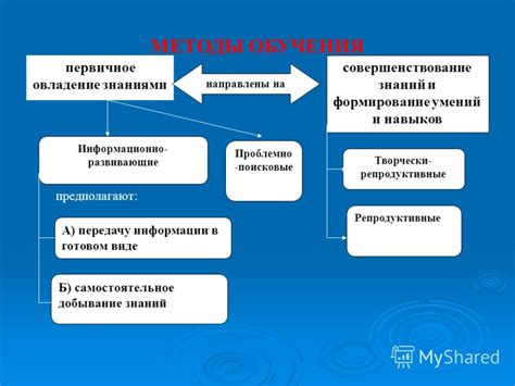 Получение и совершенствование навыков в налоговой инспекции