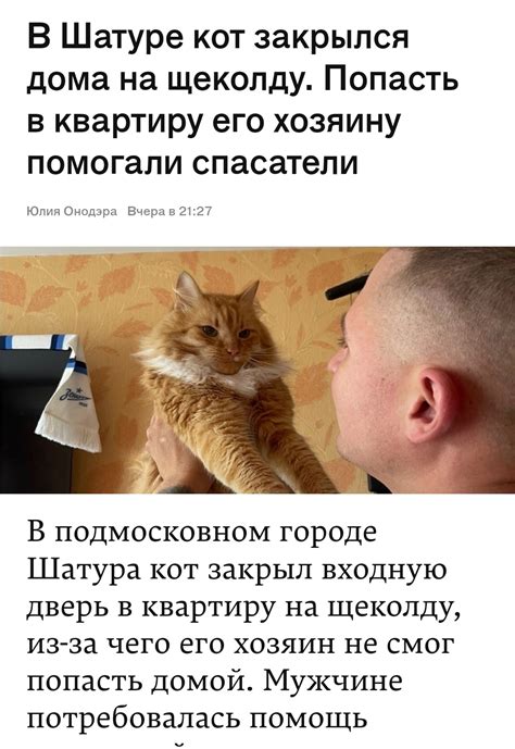 Польза брать кота