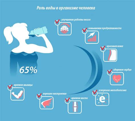 Польза воды после ужина для пищеварения и общего здоровья