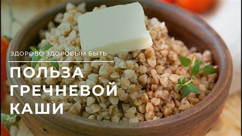 Польза гречневой каши