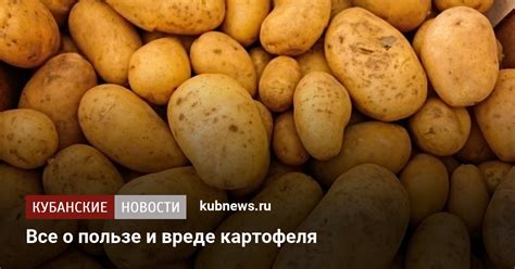 Польза и вред картошки