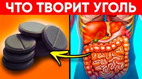 Польза и вред угля при тошноте