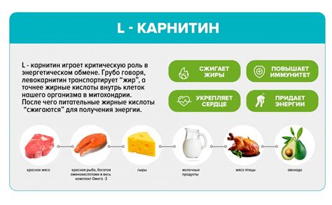 Польза л карнитина для кормящих мам