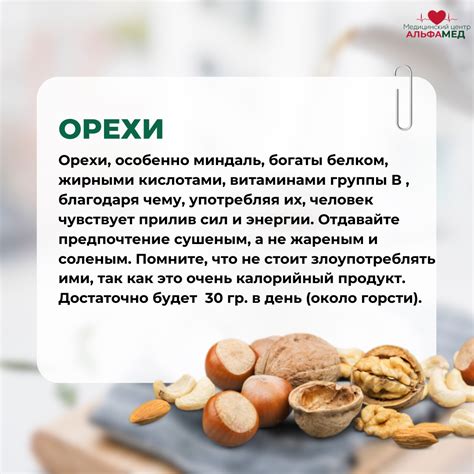 Польза орехов для хомяка