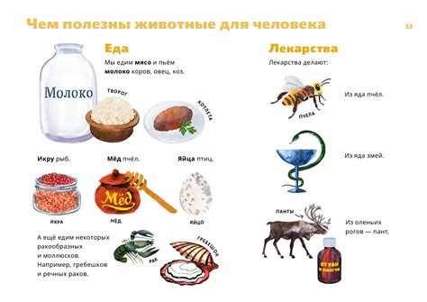 Польза свечки для животных