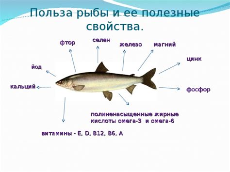 Польза сырой рыбы в рационе свиней