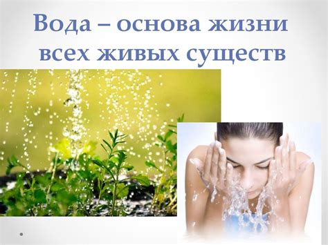 Польза чистой воды