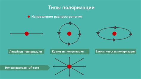 Поляризация света и глаза рыб