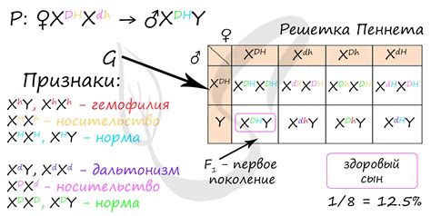 Пол по присутствию гена SRY