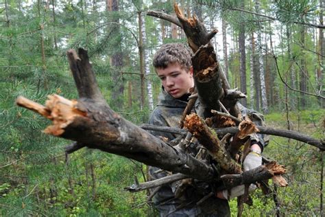 Понятие валежника и его особенности