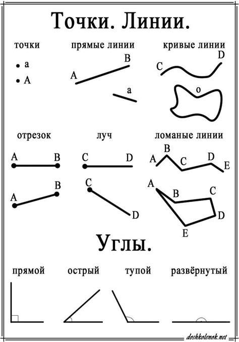 Понятие отрезка и луча