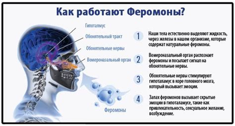 Попробуйте использовать феромоны