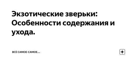 Последние штрихи и особенности ухода