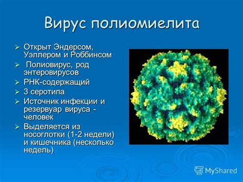 Последствия замораживания энтеровирусов