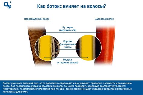 После осветления: как ботокс влияет на структуру волос