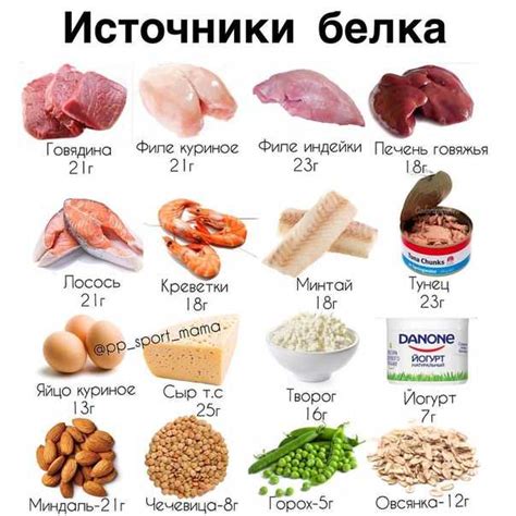 Пост и животные продукты