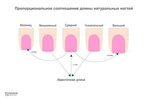 Почему важно провести бафферинг натуральных ногтей?