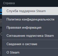 Почему может потребоваться отключить Steam Remote Play