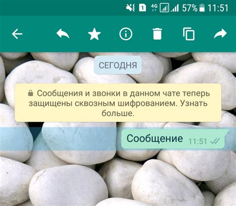 Почему нужно копировать чат в WhatsApp?