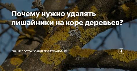 Почему нужно удалять данные из поисковиков